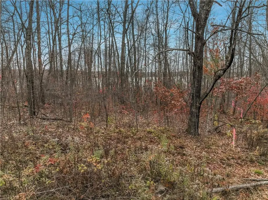 Lot 1 County Highway F, Birchwood, WI 54817 - Image #3