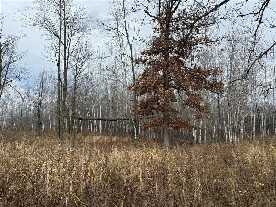 0000 woody lane, Gilman, WI 54433 - Image #2