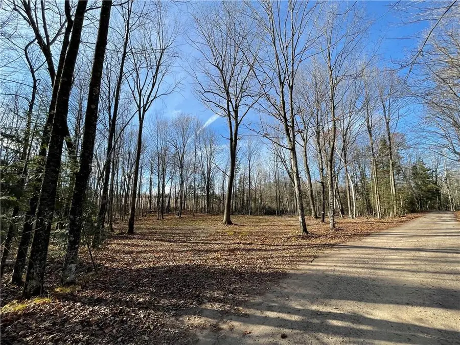 0 Willy Road, Weyerhaeuser, WI 54895 - Image #2