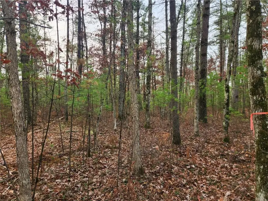 N10321 County Road K, Merrillan, WI 54754 - Image #2