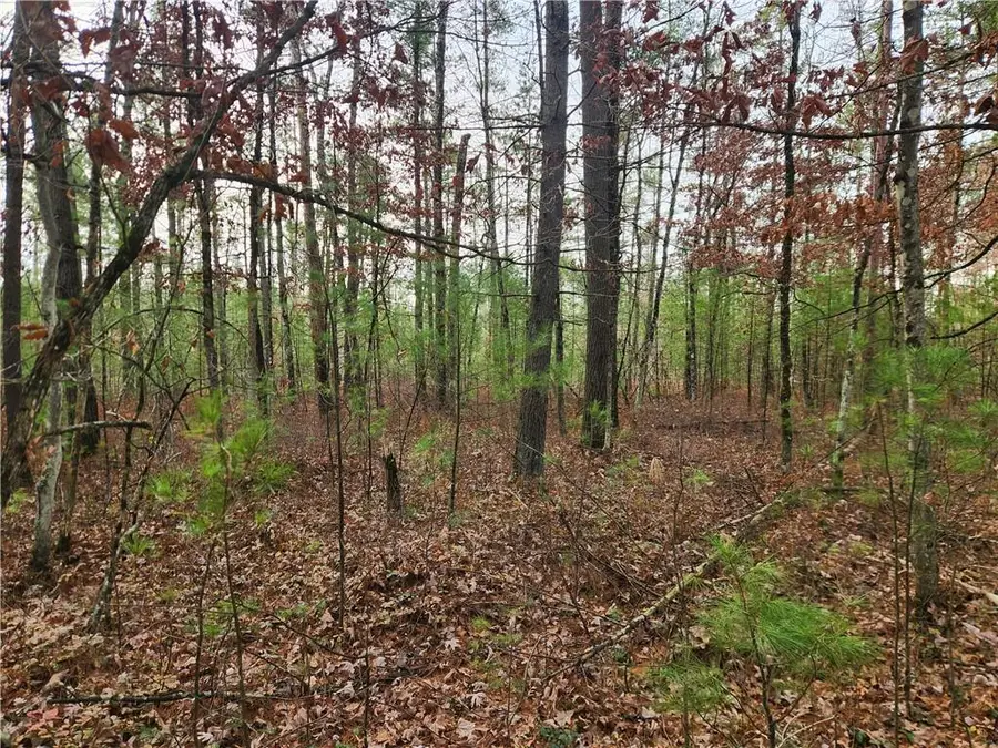 N10321 County Road K, Merrillan, WI 54754 - Image #3