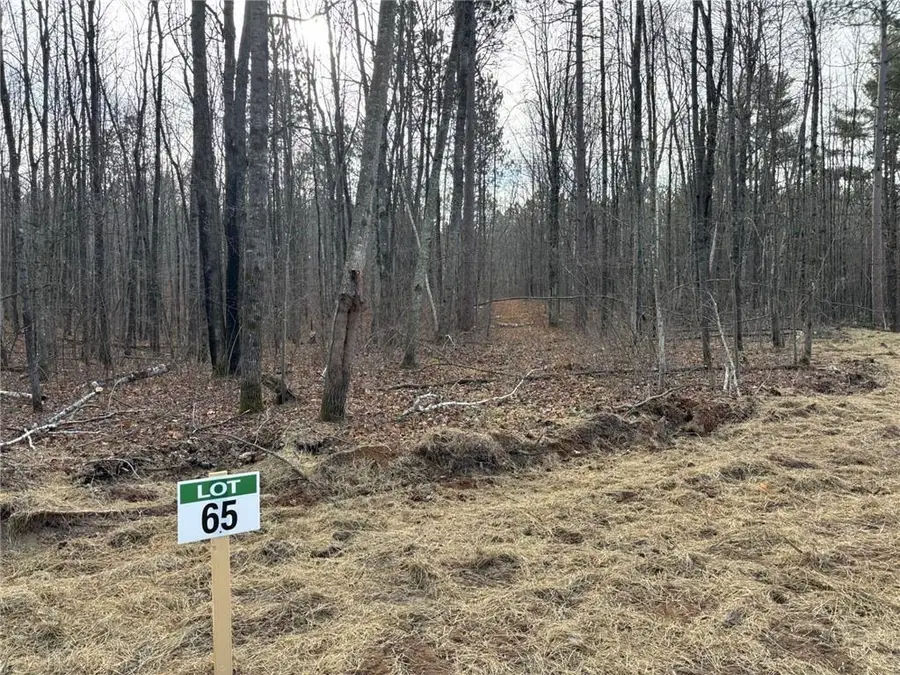 Lot 65 Vasa Road, Hayward, WI 54843 - Image #2