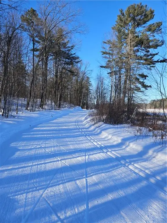 Lot 65 Vasa Road, Hayward, WI 54843 - Image #3