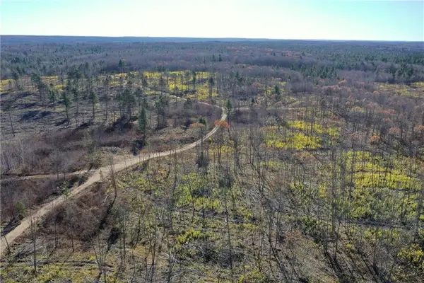 TBD Larsen Road, Hayward, WI 54843