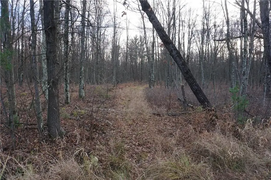 000 Birch Ln, Nekoosa, WI 54457 - Image #2