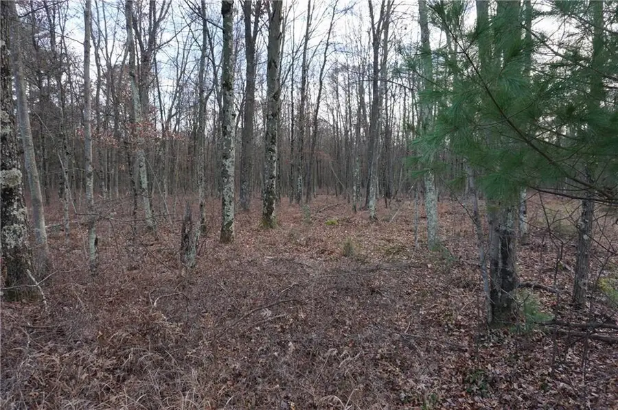 000 Birch Ln, Nekoosa, WI 54457 - Image #3