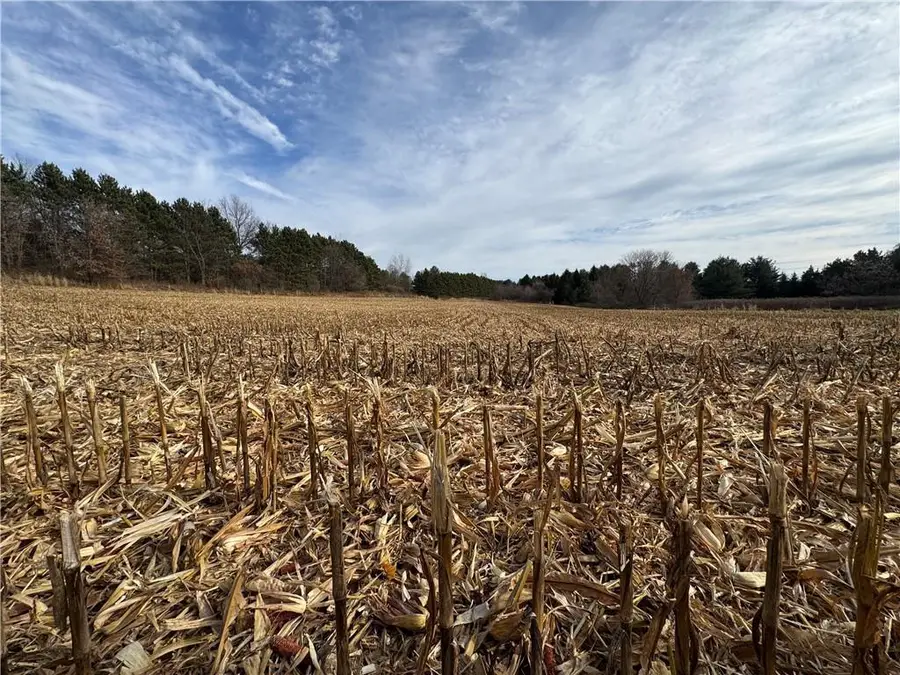 20796 W County OO, Strum, WI 54770 - Image #3