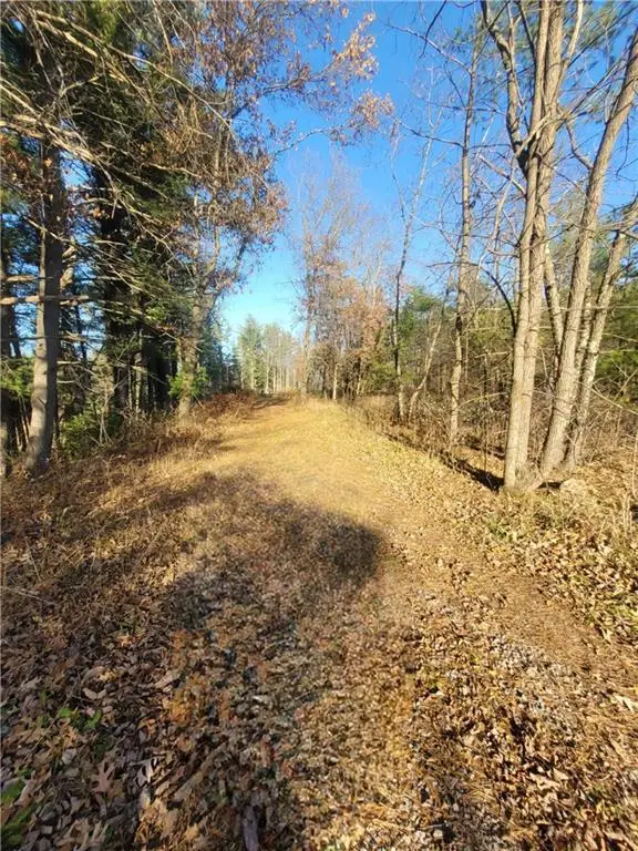 0 Lower Lake Dr, Merrillan, WI 54754 - Image #3