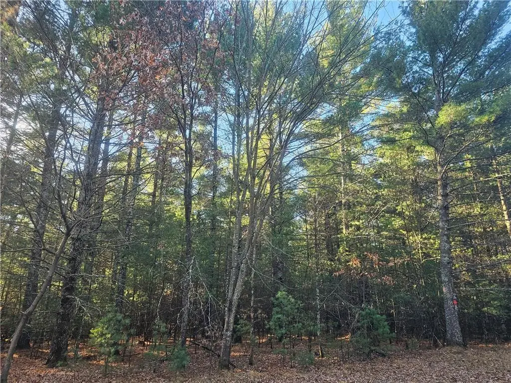 XXX Harmon Avenue, Grantsburg, WI 54840 - Image #1