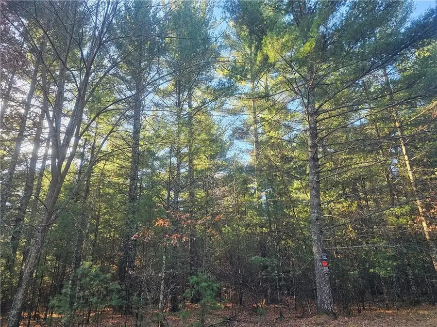 XXX Harmon Avenue, Grantsburg, WI 54840 - Image #2