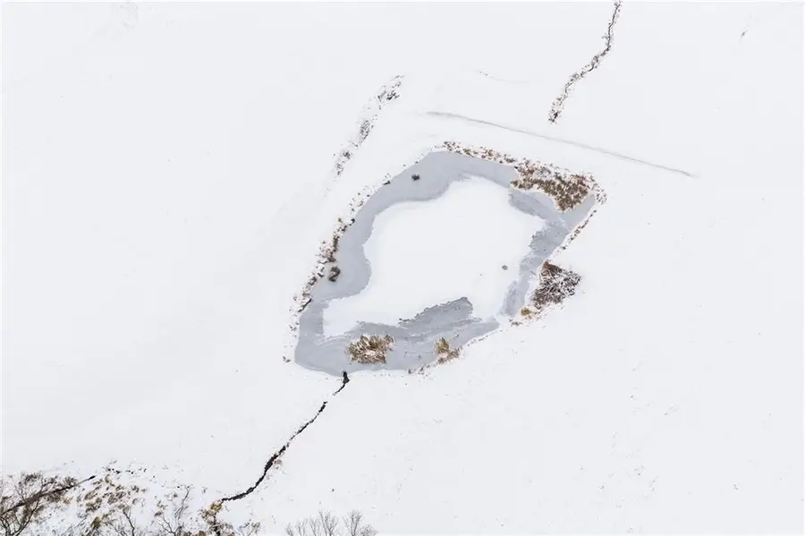 Lot 3 State Rd 95, Arcadia, WI 54612 - Image #2