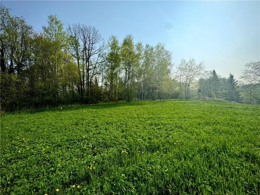 000 County Road H, Athens, WI 54411 - Image #3