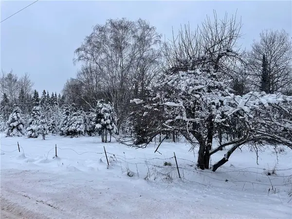 20 +/- Acres County Hwy F, Butternut, WI 54514