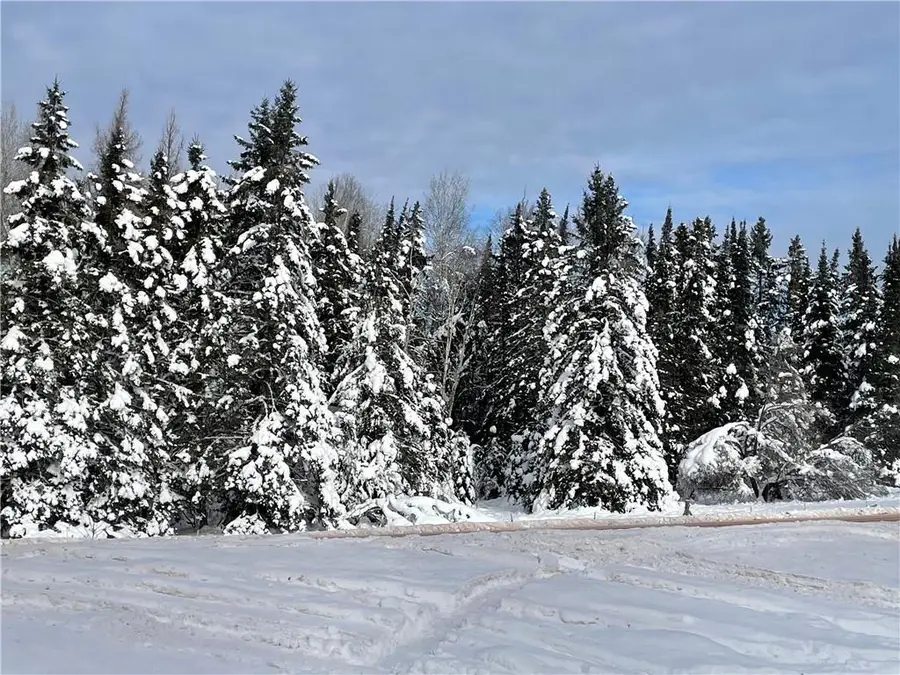 20 +/- Acres County Hwy F, Butternut, WI 54514 - Image #2