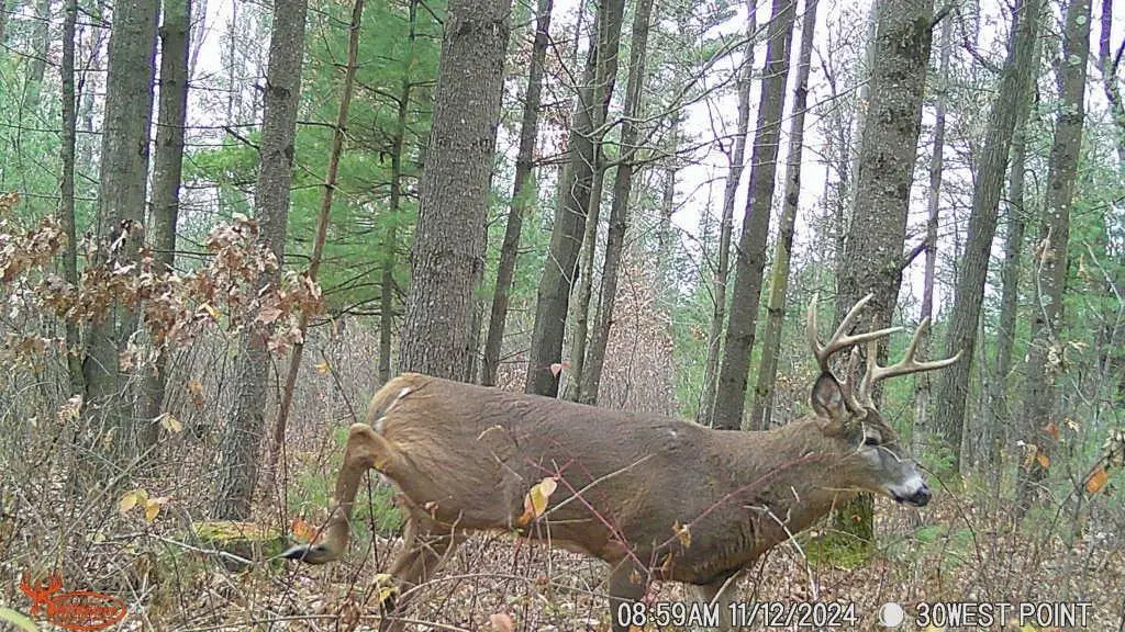 W10979 County Highway B, Humbird, WI 54746 - Image #1