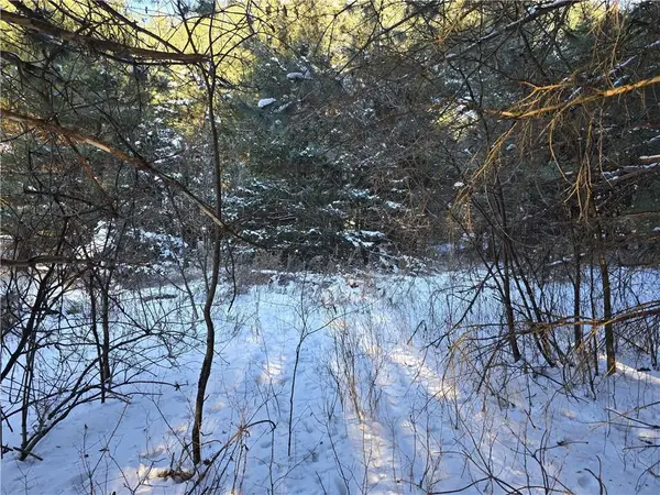 00 23rd Street, Chetek, WI 54728