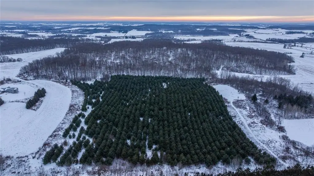 0 6 1/2 Avenue, Hillsdale, WI 54733 - Image #1