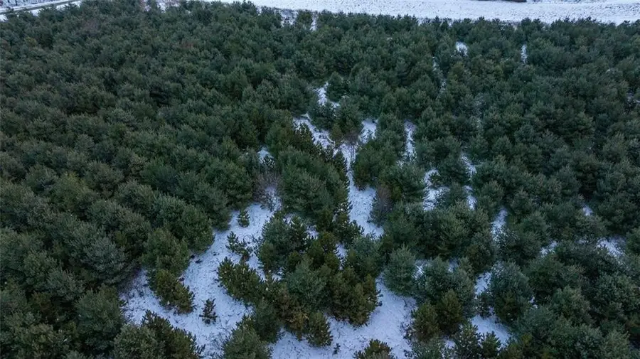 0 6 1/2 Avenue, Hillsdale, WI 54733 - Image #3