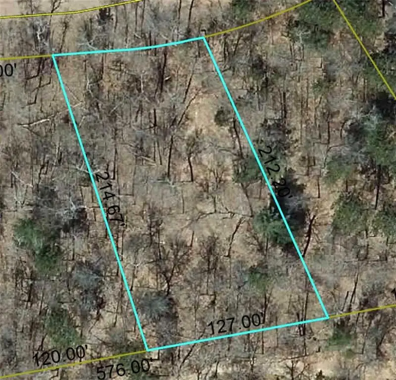 Lot 26 Deer Lodge Trail Way, Danbury, WI 54830 - #1