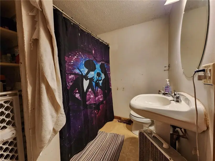 313 SABIN AVE W, Ladysmith, WI 54848 - Image #3