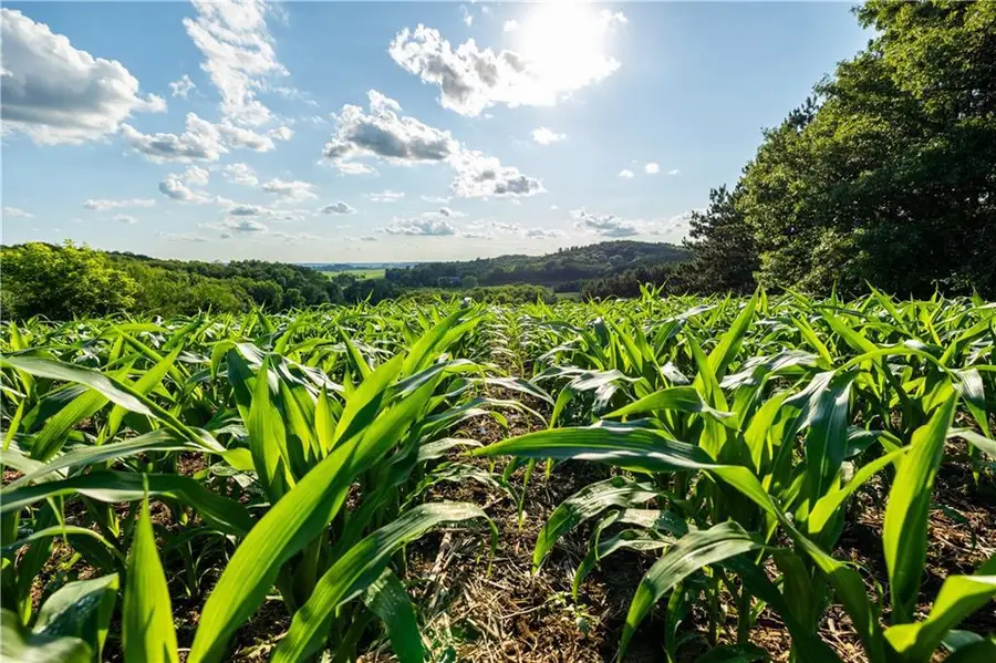 00 Moe Road, Mondovi, WI 54755 - Image #2