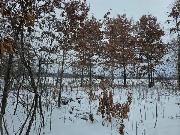 0 County Highway E Lot 1, Elk Mound, WI 54739