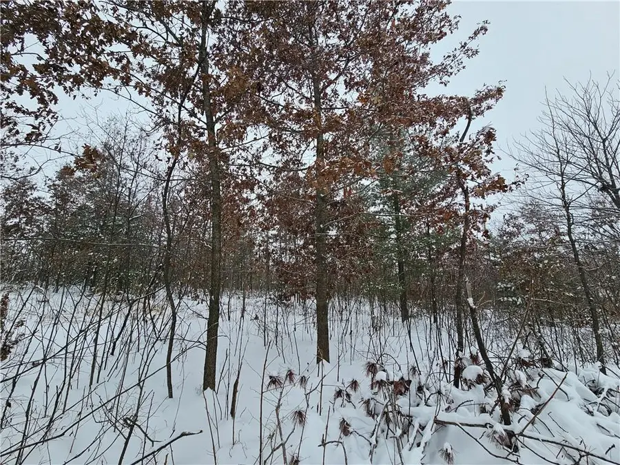 0 County Highway E LOT 2, Elk Mound, WI 54739 - Image #2