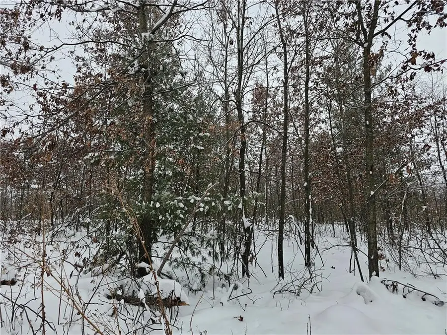 0 County Highway E LOT 2, Elk Mound, WI 54739 - Image #3