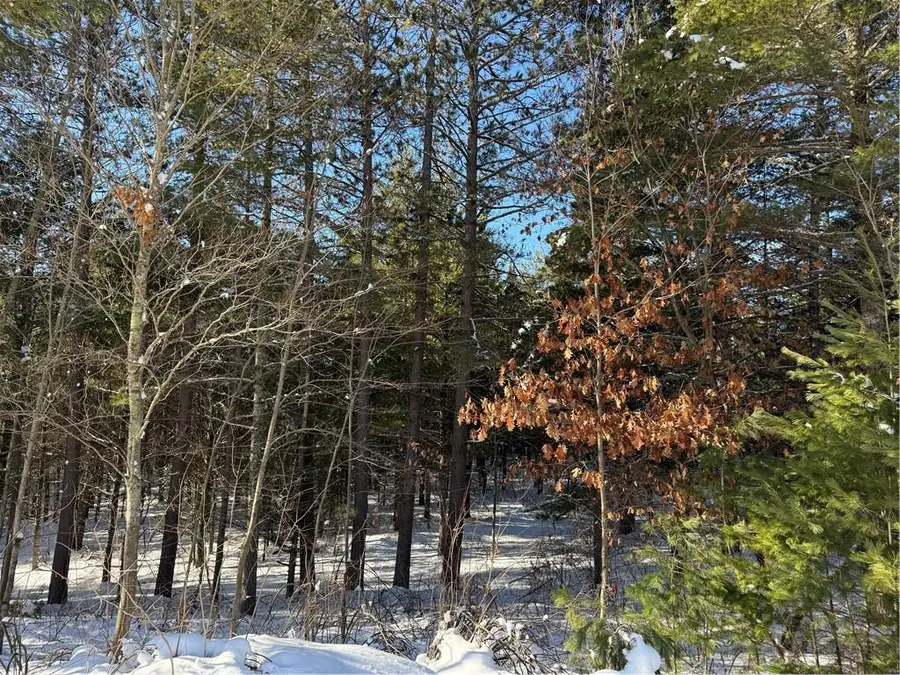 Lot 4 CSM 2370 Kavanaugh Road, Cable, WI 54821 - Image #2