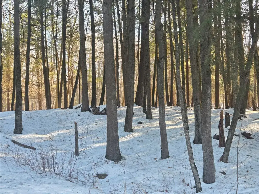 15089 367th Street, Stanley, WI 54768 - Image #1