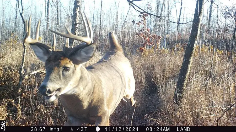 1581 50th Street, Turtle Lake, WI 54889 - Image #2