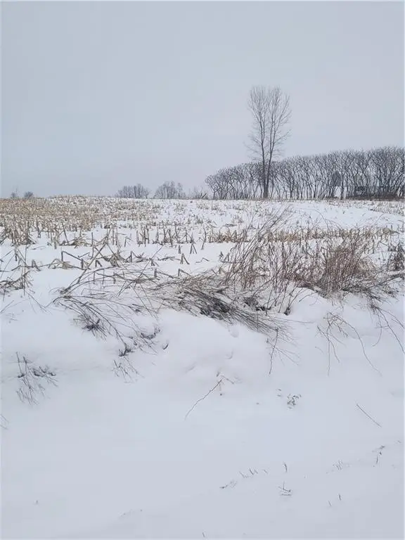 000 County Hwy B Lot 3, Neillsville, WI 54456