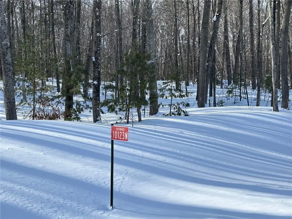 10123N Hardwood Hills Drive, Hayward, WI 54843 - Image #1
