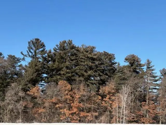 0 Hwy 13, Cornucopia, WI 54827 - Image #1