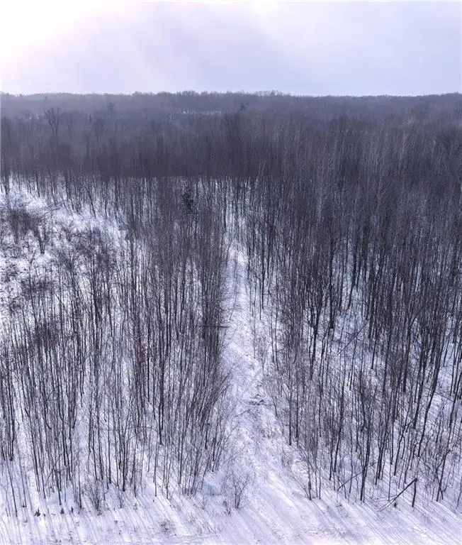 00 155th Ave, Boyd, WI 54726 - Image #1