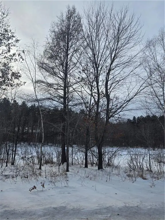 000 County Hwy G, Holcombe, WI 54748 - Image #2