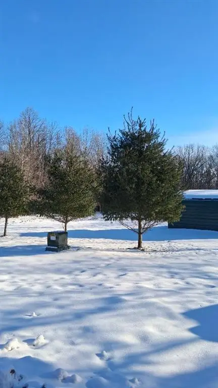 S825 Tower Road, Boyd, WI 54726 - Image #2