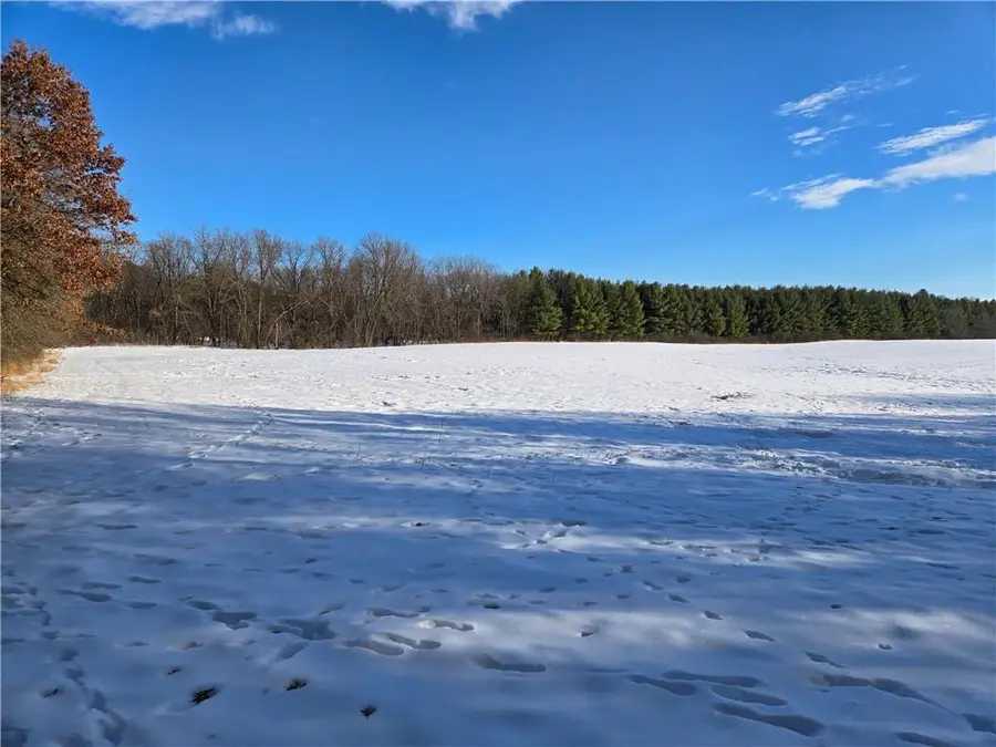 20.05 Acres County Road N, Wheeler, WI 54772 - #3