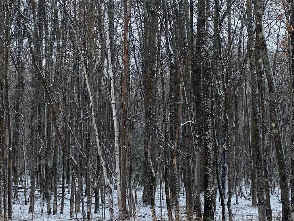 Near Seven Mile Road, Herbster, WI 54844 - Image #1