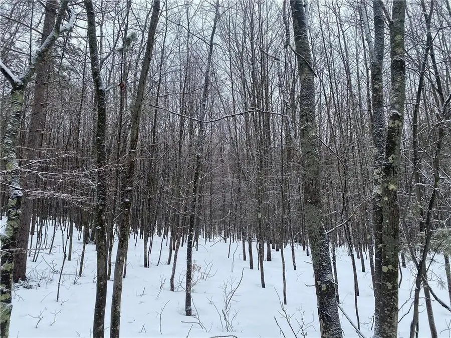 Near Seven Mile Road, Herbster, WI 54844 - Image #2