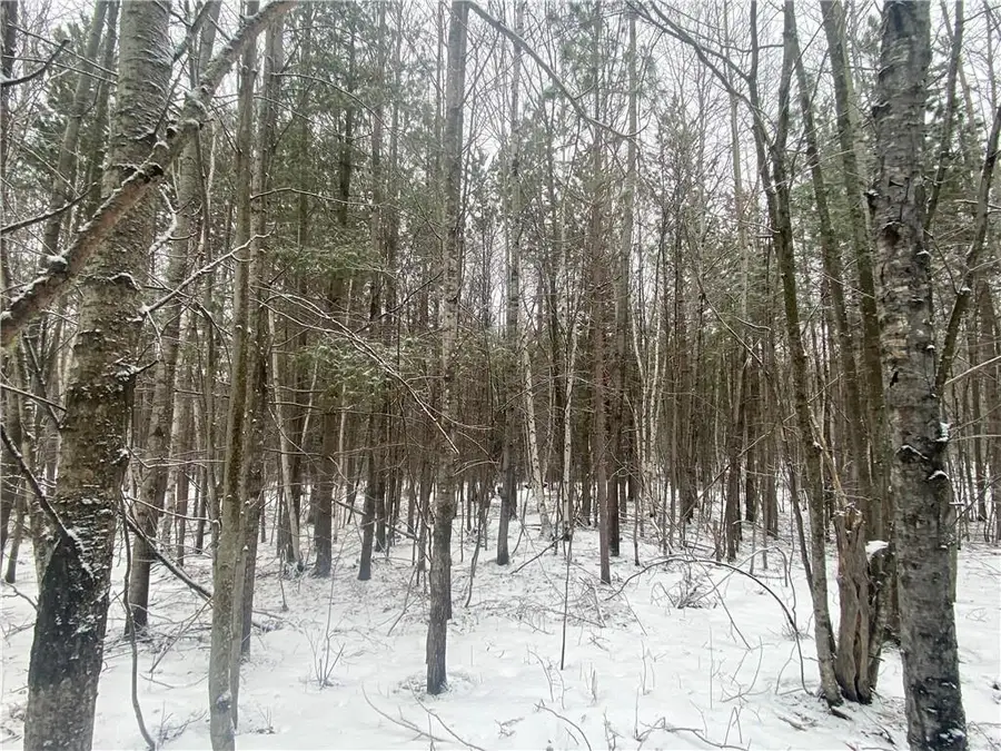 Near Seven Mile Road, Herbster, WI 54844 - Image #3