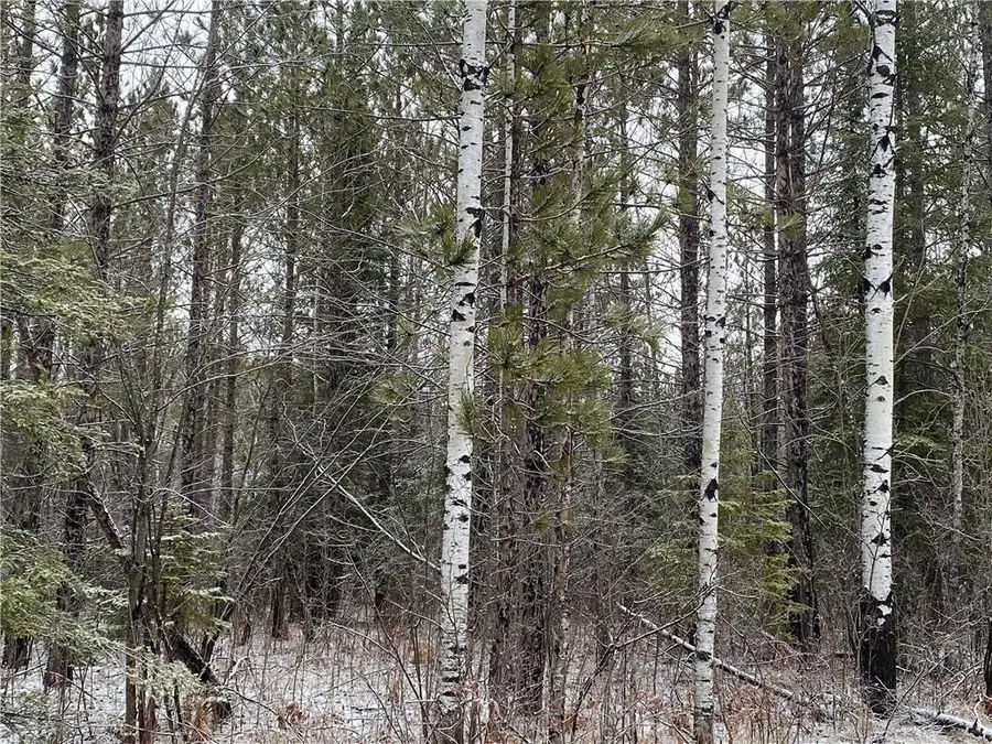 On Sorenson Road, Port Wing, WI 54865 - Image #2