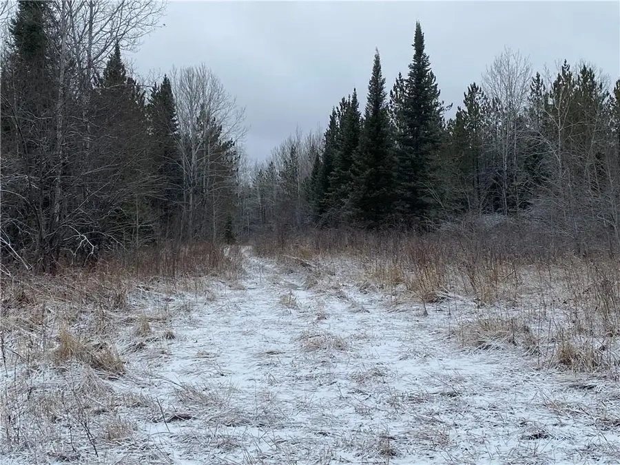 On Sorenson Road, Port Wing, WI 54865 - Image #3