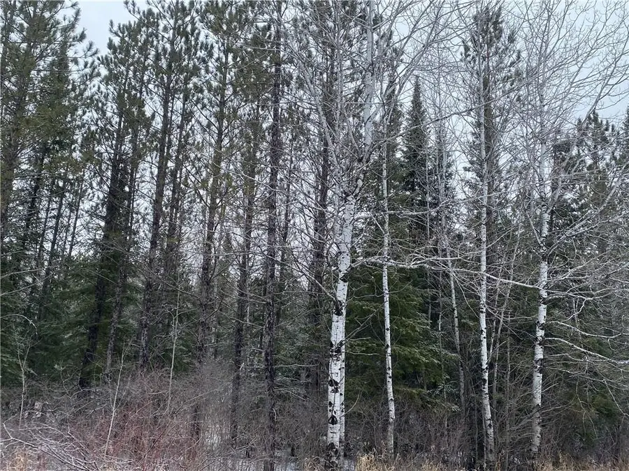 On Sorenson Road, Port Wing, WI 54865 - Image #2