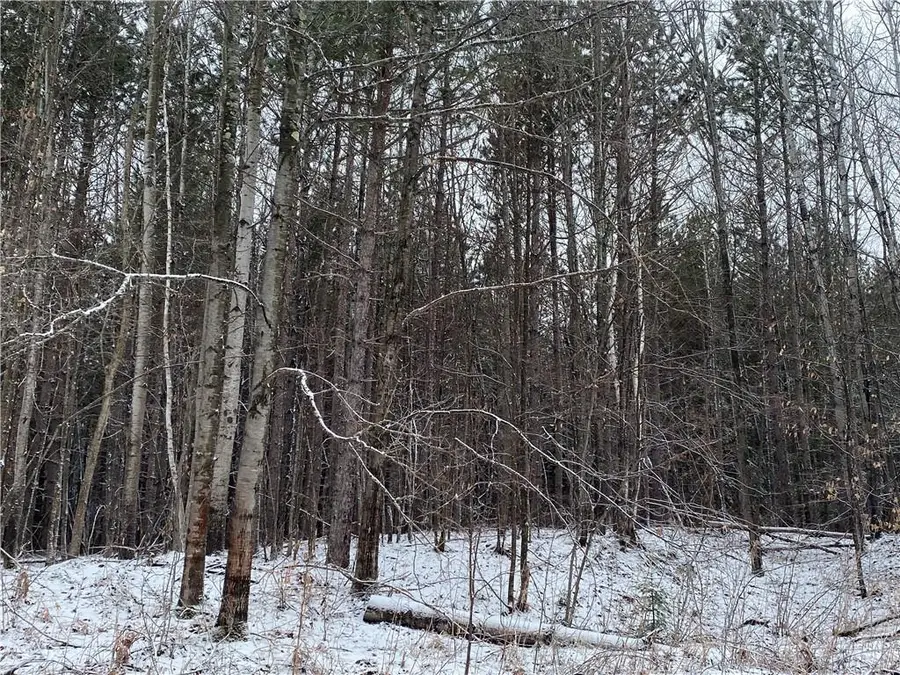 On Sorenson Road, Port Wing, WI 54865 - Image #2