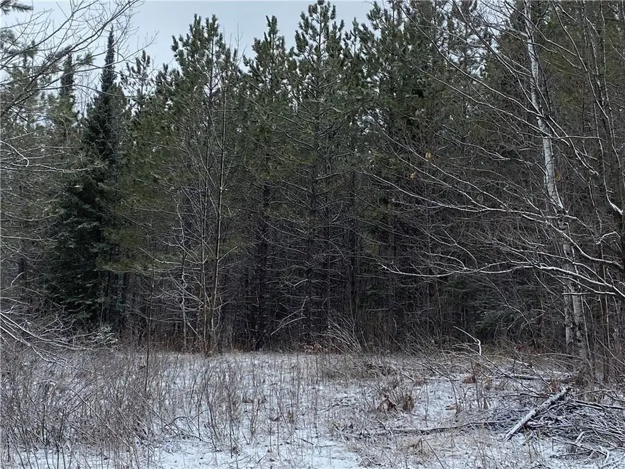 On Sorenson Road, Port Wing, WI 54865 - Image #3