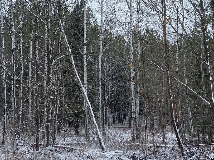 On Sorenson Road, Port Wing, WI 54865 - Image #2