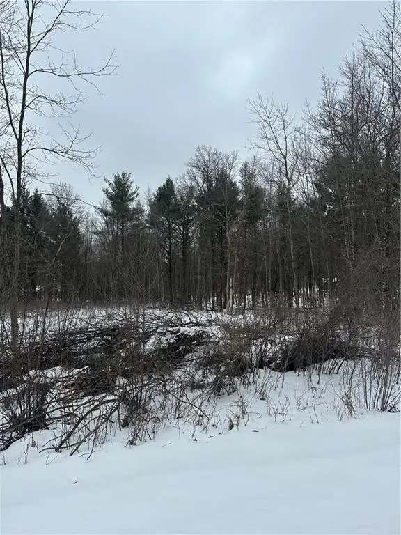Lot 20 Betty Lane, Black River Falls, WI 54615