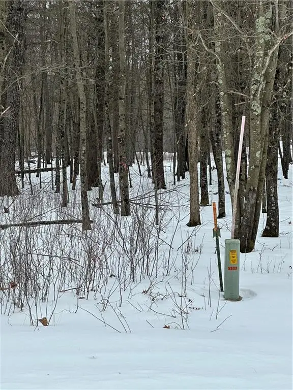 Lot 20 Betty Lane, Black River Falls, WI 54615 - #2