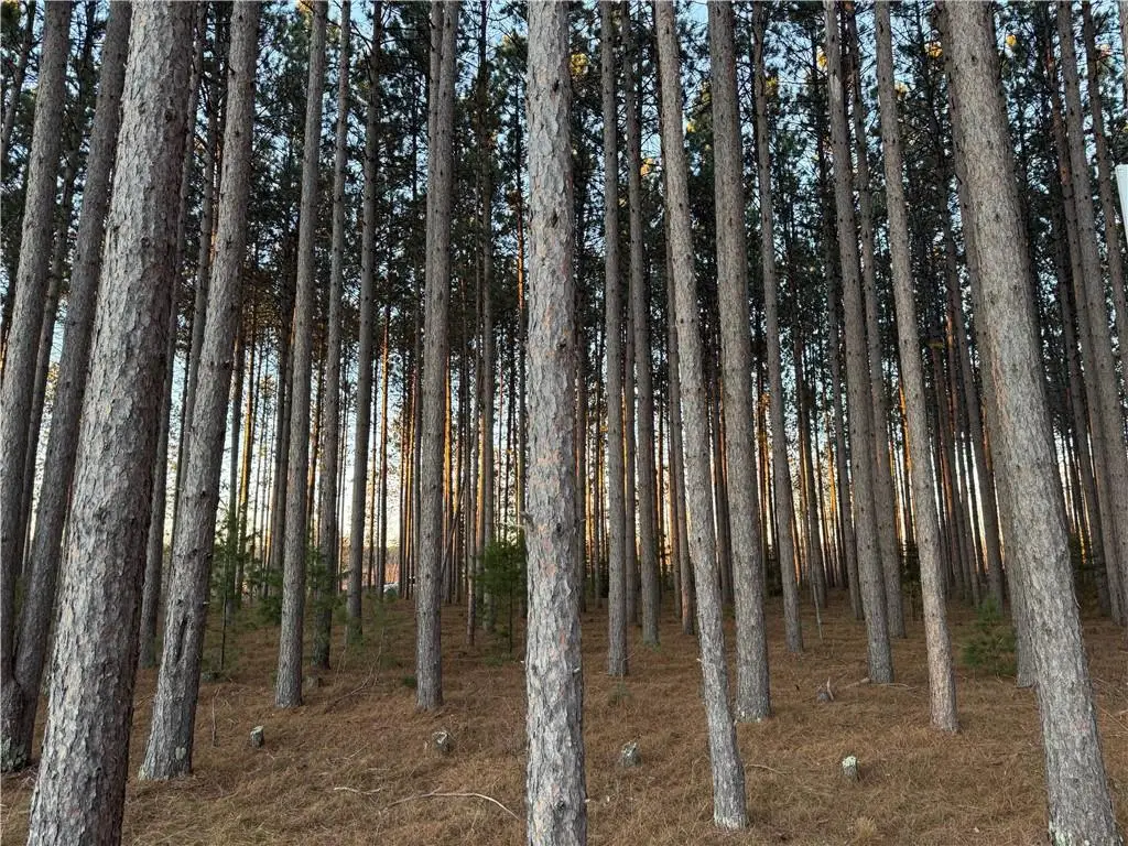 Lot 2 Jenny Lane, Hayward, WI 54843 - #1